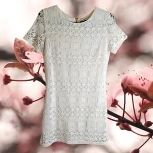 Lulu's small white short sleeve lace cotton blend lined mini dress Spring summer